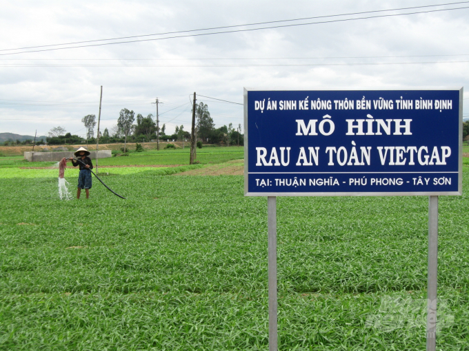 Việc đa dạng cơ cấu giống rau giúp nông dân linh hoạt hơn trong tiêu thụ sản phẩm. Ảnh: Vũ Đình Thung.