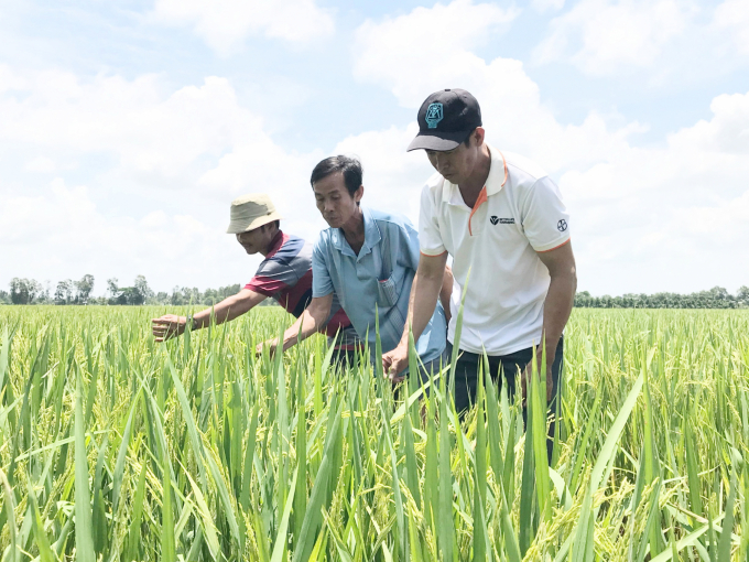 So với liên kết lại, làm ăn đơn lẻ sẽ khó thành công hơn. Ảnh: Dương Đình Tường.