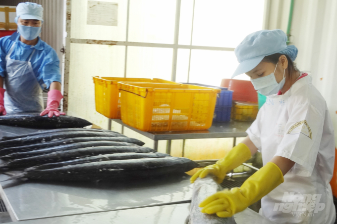 Việt Nam là nguồn cung hàng đầu về thủy sản cho nhiều thị trường lớn trên thế giới. Ảnh: Sơn Trang.