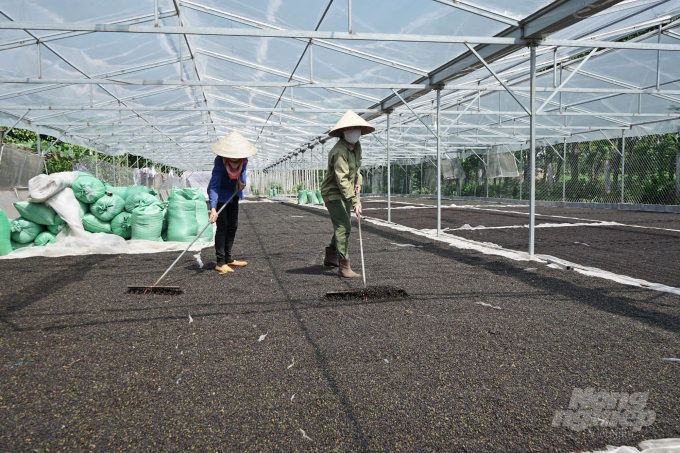 Hệ thống sân phơi có mái che và sân phơi ngoài trời đảm bảo yêu cầu an toàn thực phẩm. Ảnh: Công Điền.