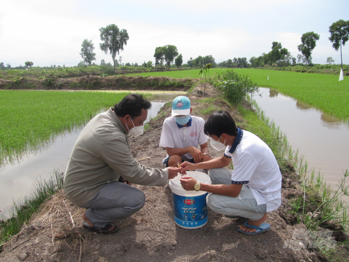 Vùng sản xuất lúa tôm tại huyện Hồng Dân (Bạc Liêu) Ảnh: Trọng Linh.