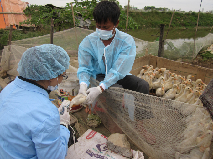 Bộ NN-PTNT là một trong những Bộ ngành đi đầu trong cắt giảm điều kiện kinh doanh và thủ tục kiểm tra chuyên ngành trong lĩnh vực nông nghiệp. Ảnh: PV.