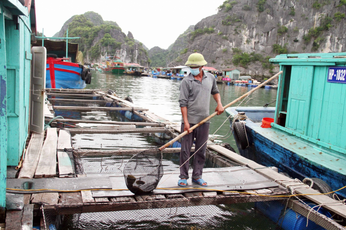 Quảng Ninh có tiềm năng rất lớn để phát triển nuôi biển. Ảnh: Lê Bền.