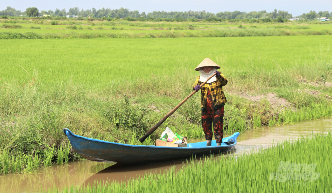 Climate change is having far reaching impacts on agricultural production in the Mekong Delta. Photo: Pham Hieu.