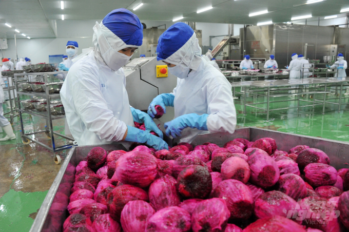 Các sản phẩm rau quả của Việt Nam đang chuyển dịch ấn tượng từ xuất khẩu thô, tươi sang chế biến, giá trị gia tăng cao. Ảnh: TL.