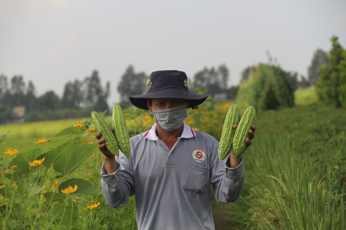 Chuyển đổi sang nền nông nghiệp sinh thái là hướng đi đúng đắn. Ảnh: Phạm Hiếu.