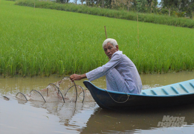 Thực hiện tái cơ cấu ngành nông nghiệp và Nghị quyết 120 của Chính phủ, tỉnh Kiên Giang đã chuyển dịch mạnh sang phát triển kinh tế thủy sản, chuyển đổi hàng chục ngàn ha đất sản xuất lúa kém hiệu quả sang mô hình tôm - lúa, mang lại thu nhập cao. Ảnh: Trung Chánh.