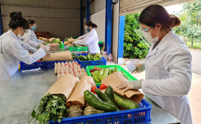 Các doanh nghiệp nông nghiệp ở Đắk Lắk đã kết nối lại hoạt động sản xuất sau khi dịch bệnh Covid-19 bớt căng thẳng. Ảnh: Quang Yên.