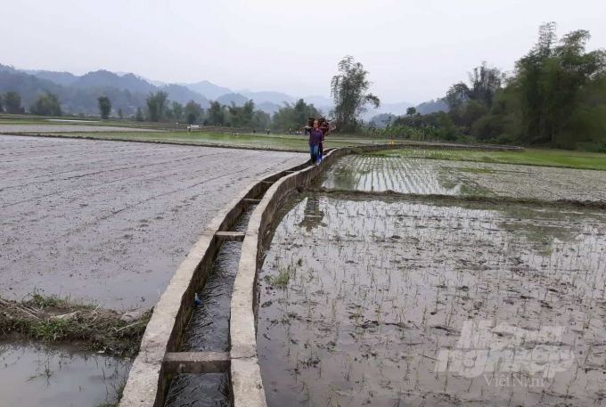 Only about 20,000 hectares of Bac Kan's agricultural land, or less than 50%, are watered by irrigation systems. Photo: Toan Nguyen.