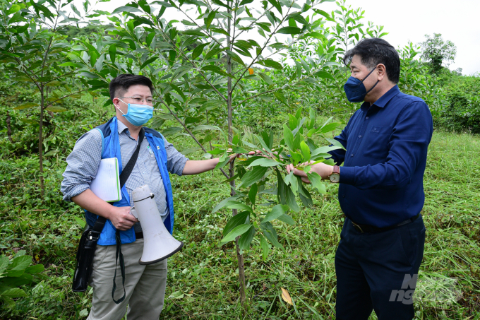 Ông Nguyễn Hoàng Tiệp, Viện Khoa học Lâm nghiệp Việt Nam (trái) trình bày với Giám đốc TTKNQG Lê Quốc Thanh về những thay đổi trong dự án. Ảnh: Tùng Đinh.