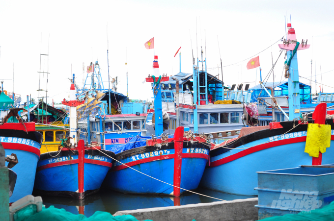 Toàn tỉnh Ninh Thuận hiện có khoảng 2.236 tàu cá đã đăng ký. Ảnh: Minh Hậu.