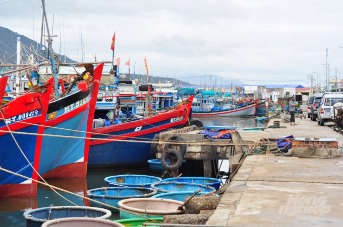 Ca Na port (Thuan Nam District, Ninh Thuan Province) is one of the key fishing ports in the area. Photo: Minh Hau.