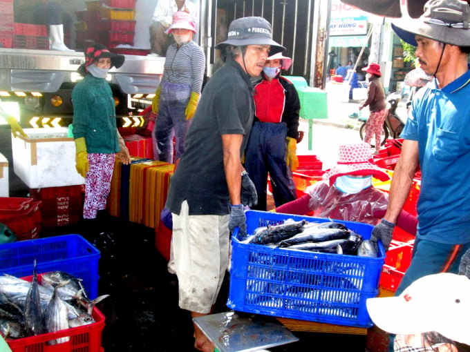 Regardless of day and night, purchasing units are waiting at the shore so that when the fishermen's boats dock at the port, they can purchase their products immediately. Photo: Vu Dinh Thung.