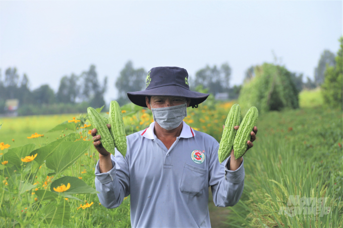 Farmers' conventional production methods need to be combined with modern and advanced technical methods. Photo: Pham Hieu.