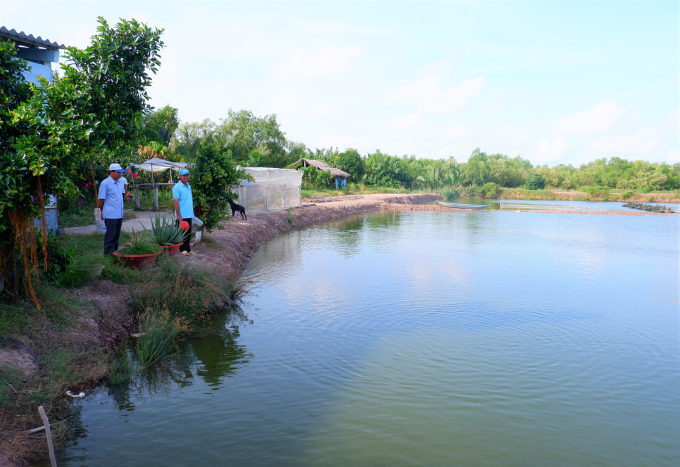 Công ty TNHH Chế biến thủy sản Phát Huy là cơ sở nuôi đang thử nghiệm mô hình nuôi cá hồng Mỹ đầu tiên tại tỉnh Bến Tre. Ảnh: Minh Mừng.