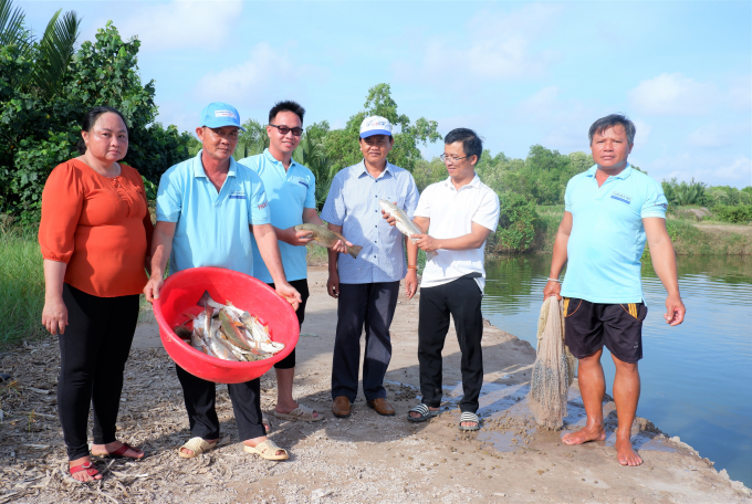 Cá hồng Mỹ mở ra triển vọng mới nhằm đa dạng đối tượng nuôi vùng ven biển Bến Tre. Ảnh: Minh Mừng.