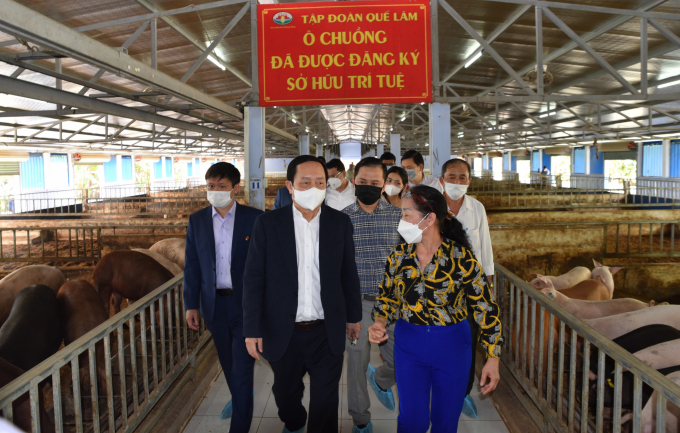 Minister of Science and Technology Huynh Thanh Dat admiring the circular agriculture philosophy of Que Lam Group. Photo: Hoang Anh.