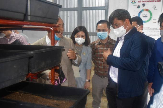 Deputy Minister Tran Thanh Nam directed to promote the models of Que Lam Group to cooperatives. Photo: Hoang Anh.