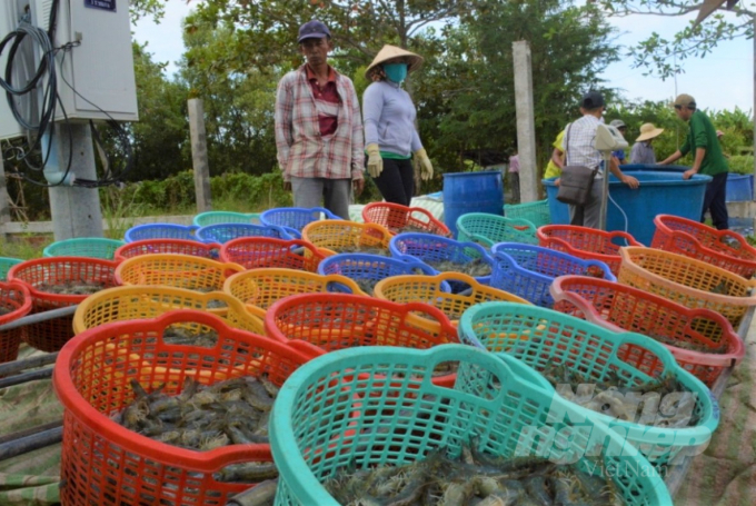 Tỉnh Kiên Giang tạo môi trường thuận lợi cho người dân, doanh nghiệp đầu tư sản xuất, kinh doanh, liên kết phát triển các chuỗi giá trị nông sản chất lượng cao, đảm bảo an toàn thực phẩm. Ảnh: Trung Chánh.