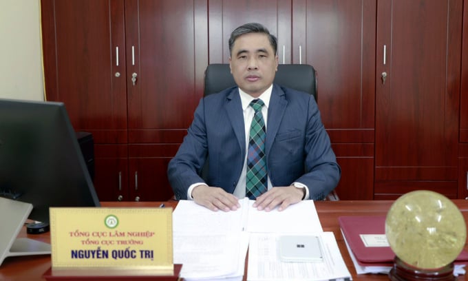 Tổng cục trưởng Tổng cục Lâm nghiệp Nguyễn Quốc Trị.