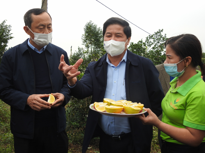 Deputy Minister Le Quoc Doanh urged the MARD’s specialized agencies to take Ha Tinh as an example of the digital transformation in citrus fruit production. Photo: Thanh Nga.
