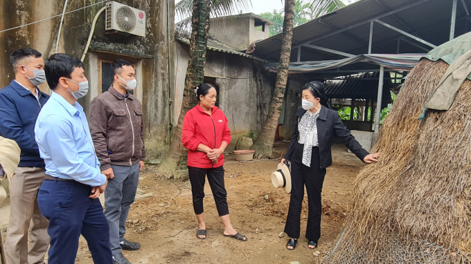 Cây rơm dự trữ thức ăn cho đàn trâu bò mùa đông. Ảnh: Hoàng Hữu.