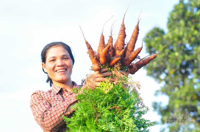 Rau, quả hữu cơ khá nhỏ nhắn, màu sắc nhạt, không quá bắt mắt, nhưng lại được người tiêu dùng đón nhận ngày càng lớn. Ảnh: NNVN.