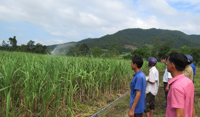 Phu Yen province will invest large resources to improve the irrigation system for sugarcane intensification in the coming years. Photo: Hoai Nam.