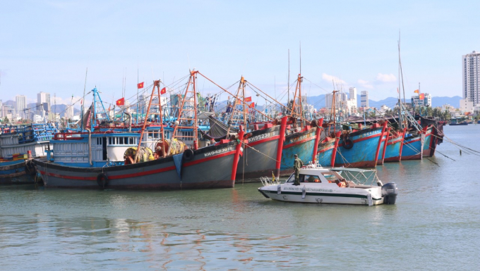 Khanh Hoa seafood industry has a large fleet of tuna fishing vessels. Photo: KS.