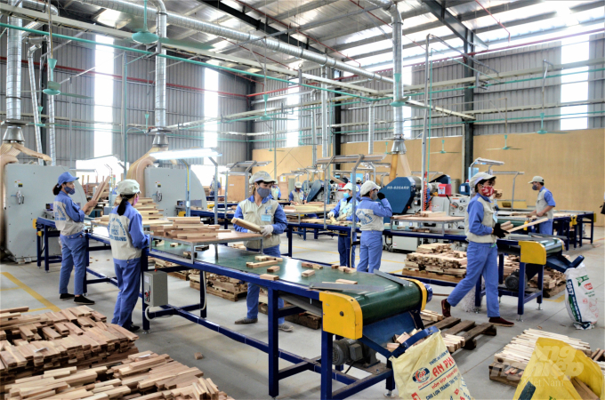 Tuyên Quang cũng có nhiều chính sách hỗ trợ đồng hành cùng doanh nghiệp sản xuất, chế biến, xuất khẩu gỗ vượt qua khó khăn trong đại dịch Covid-19. Ảnh: Đào Thanh.