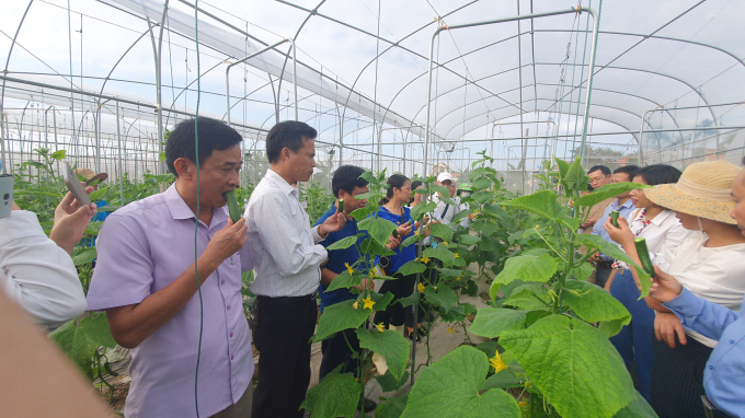 Du lịch nông thôn sẽ kích thích phát triển thêm các sản phẩm nông nghiệp sạch. Ảnh: Đinh Mười.