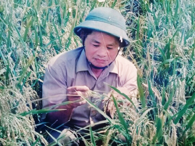 Tác giả Doãn Trí Tuệ khi còn công tác trong ngành nông nghiệp Nghệ An. Ảnh: NVCC.