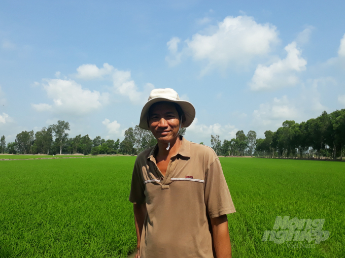 Mr. Cung Quang Tien by his family's LocalGAP rice field. Photo: KT.