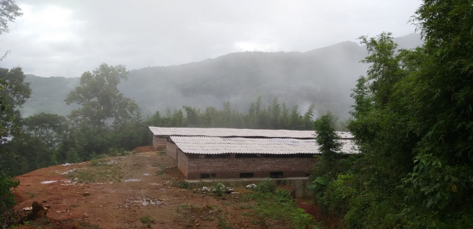 Khu nuôi nhốt trâu, bò của người dân thôn Choản Thèn, xã Y Tý (huyện Bát Xát, Lào Cai) nằm cách xa khu dân cư, đảm bảo việc phòng chống đói, rét cho gia súc. Ảnh: H.Đ.