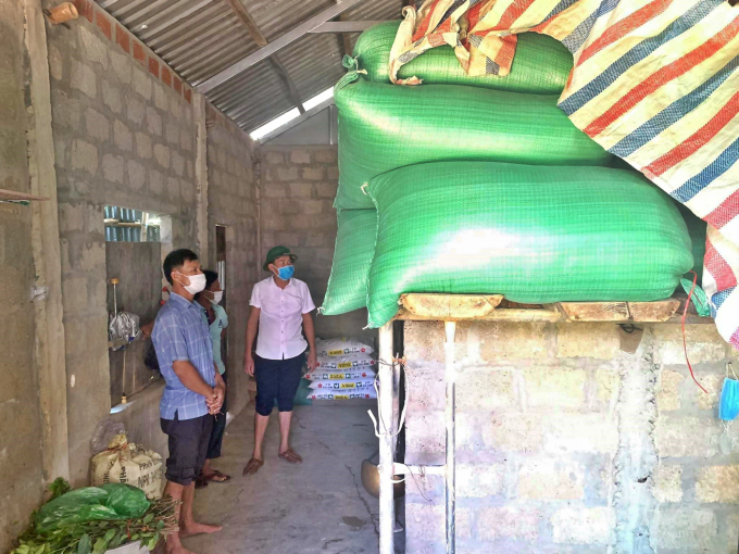 Người dân huyện Hải Lăng cất trữ lúa trên cao để phòng mưa lũ. Ảnh: CĐ.