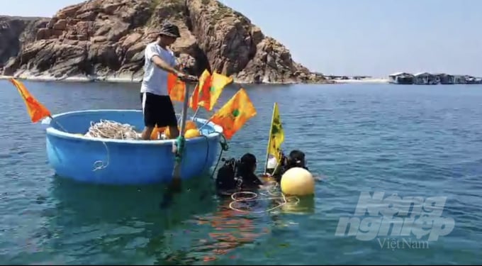A community group of Nhon Hai Commune (Quy Nhon City, Binh Dinh Province) release buoys to protect the core zone. Photo: A.T.