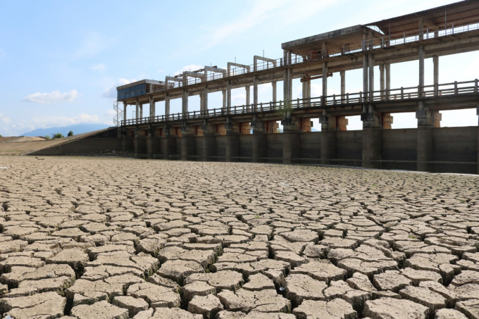 Năm 2020, hạn hán thiếu nước ở Bình Thuận diễn ra nghiêm trọng. Ảnh: MH.