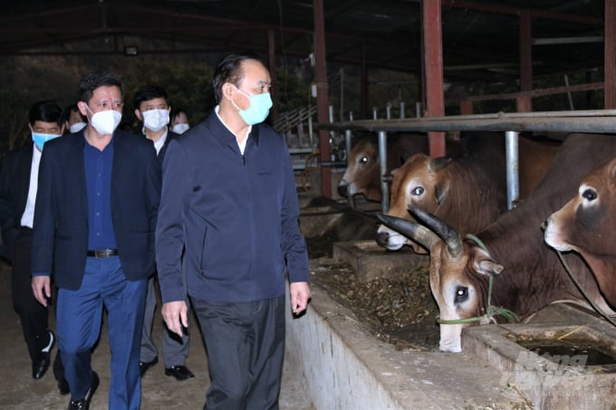 Deputy Minister Phung Duc Tien said that the province should select and prioritize indigenous breeds to help preserve and develop specific and endemic genetic resources. Photo: Pham Hieu.