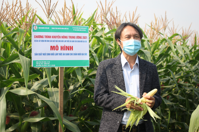 Vuong Huy Minh, Deputy Director of the Maize Research Institute, annouces the results obtained in the model. Photo: Trung Quan.