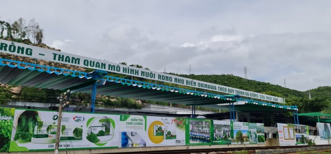Duy’s sea grape processing and packaging facility. Photo: KS.