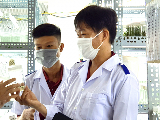 TS Đặng Minh Tâm (bìa ngoài) giới thiệu và lan cấy mô tại Trung tâm Ứng dụng Công nghệ sinh học và Nông nghiệp công nghệ cao (Viện Lúa ĐBSCL). Ảnh: Ngọc Thắng.