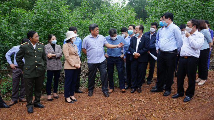Thứ trưởng Trần Thanh Nam khảo sát mô hình trồng rừng bền vững ở Quảng Trị. Ảnh: Công Điền.