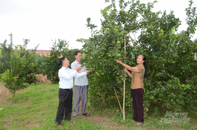 Chương trình OCOP giúp thay đổi tư duy làm kinh tế nông nghiệp của người nông dân ở Tuyên Quang. Ảnh: Đào Thanh.