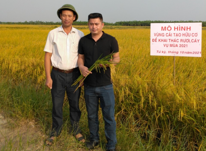 Kỹ thuật nuôi rươi thương phẩm kết hợp trồng lúa hữu cơ  QTV  YouTube