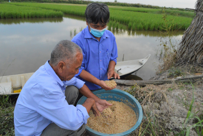 Anh Đinh Bá Dương, Tổ trưởng Tổ Kinh tế kỹ thuật xã Đông Hưng B, trực tiếp hướng dẫn người dân ủ thức ăn cho tôm càng xanh nuôi trong ruộng lúa, giảm chi phí đầu tư, mang lại hiệu quả cao. Ảnh: Trung Chánh.