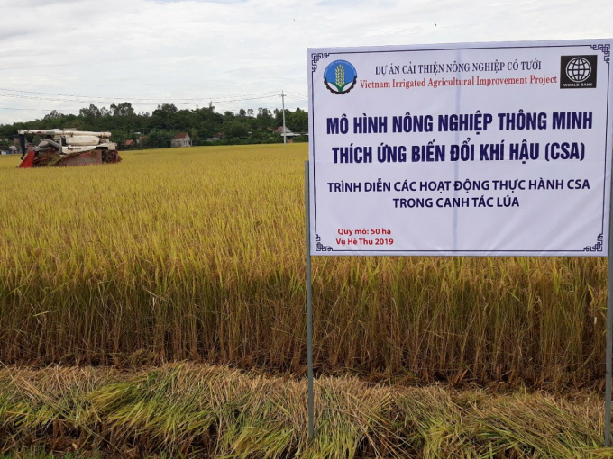 The Vietnam Irrigated Agriculture Project not only helped farmers reduce production costs, increase profits, but also approach and change their perception of production towards sustainability.Photo: Le Khanh.