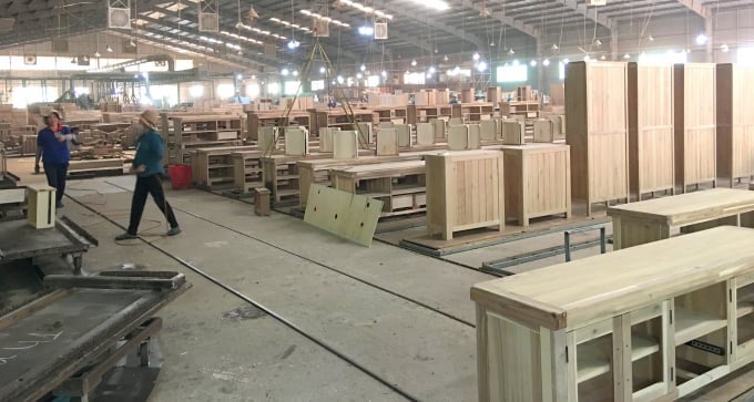 Hiện 80% gỗ nguyên liệu của ngành chế biến gỗ ở Bình Định lệ thuộc vào nguồn nhập khẩu. Ảnh: Vũ Đình Thung.