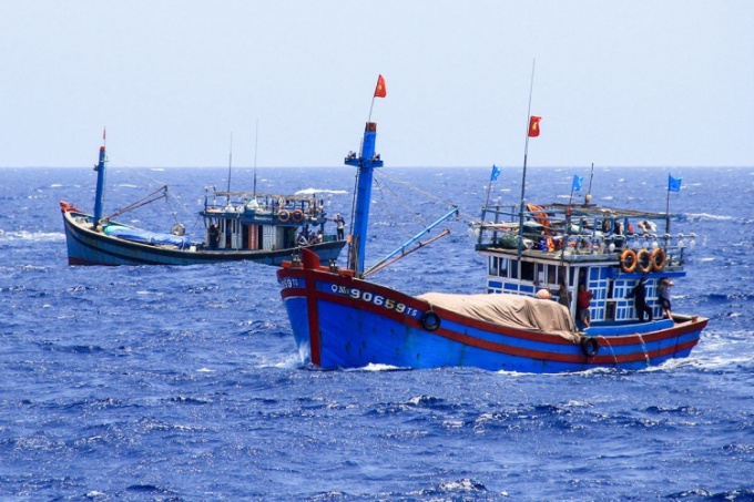 The draft program aims to reduce the number of fishing vessels, especially those engaged in fishing activities that are at risk of harming the environment and marine resources. Photo: LB.