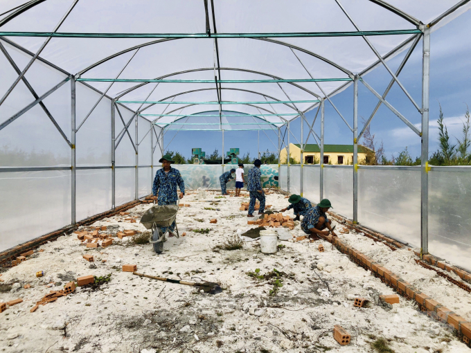 Dự án chuyển giao kỹ thuật trồng rau công nghệ cao trong nhà màng, nhà lưới được Viện KH-KT Nông nghiệp miền Nam chuyển giao ra các đảo thuộc Quần đảo Trường Sa. Ảnh: Xuân Chinh. 