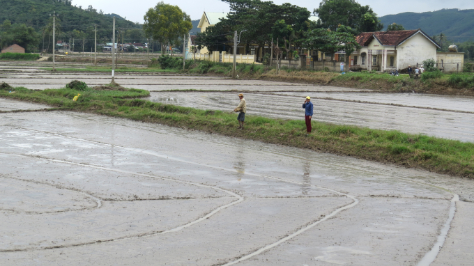 Nông dân Phú Yên đã kịp thời khắc phục lại đồng ruộng sau mưa lũ, đảm bảo gieo sạ đúng thời vụ. Ảnh: MHN.